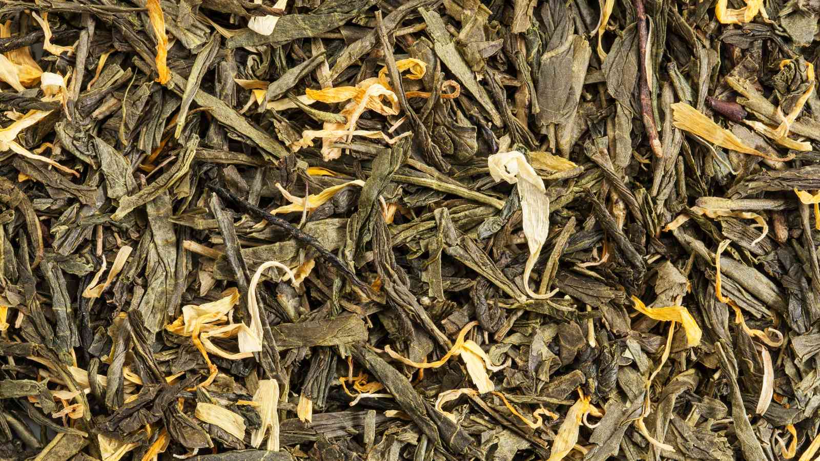 Ling Tou Dancong (Lingtou Single Bush)